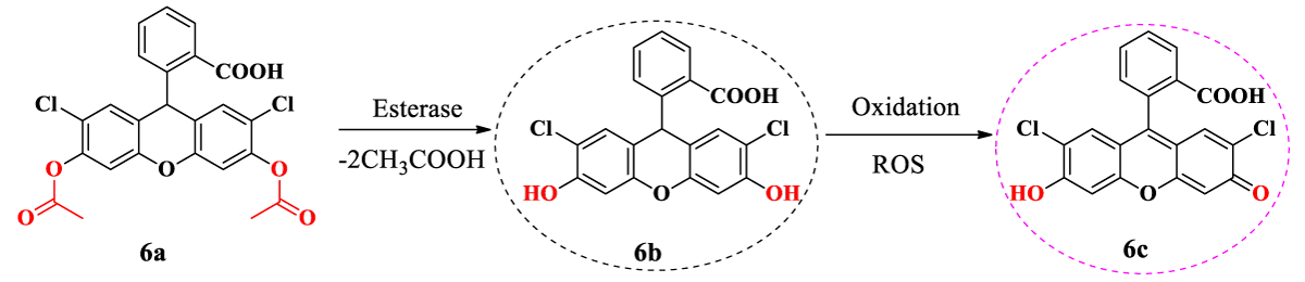 jcicm-aid1048-s003